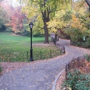 Meet your Posher, Alicia